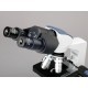 MICROSCOPIO BINOCULAR COMPUESTO 40X - 2000X  LIBRO DEL MICROSCOPIO - AMSCOPE - Envío Gratuito