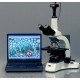 CÁMARA DIGITAL PARA MICROSCOPIO 10MP USB2.0  SOFTWARE - AMSCOPE - Envío Gratuito