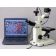 CÁMARA DIGITAL PARA MICROSCOPIO 10MP USB2.0  SOFTWARE - AMSCOPE - Envío Gratuito