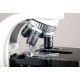 MICROSCOPIO COMPUESTO BINOCULAR KOHLER, 40X-2000X - AMSCOPE - Envío Gratuito