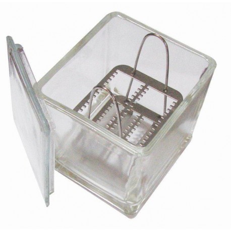 Caja Coplin de vidrio. Modelo CRM-2033 - Envío Gratuito